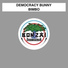 Democracy Bunny