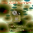 The Acid Warriors
