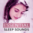 Deep Sleep Relaxation Universe