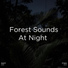 Nature Sounds, Nature Sounds Nature Music, BodyHI