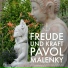 Pavol Malenky feat. Marion Daghan-Malenky
