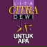 Lita Citra Dewi
