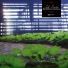 Jeff London
