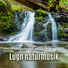 Avslappnande Meditation Akademi