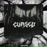 of cxurze