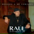 Raúl Navarro Jr