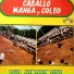 José "Catire" Carpio
