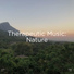 BodyHI, Nature Sounds, Nature Sounds Nature Music