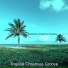 Tropical Christmas Groove