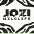 Jozi