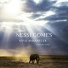 Nessi Gomes