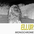 Ellur
