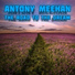 Antony Meehan