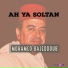 Mohamed BaJeddoub