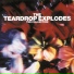 The Teardrop Explodes