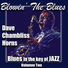 Dave Chambliss Horns