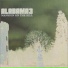 Alabama 3