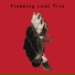 Flemming Lund Trio