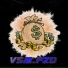 VSM.PZD