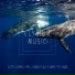 Elysium Music