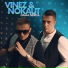 Vinez, Nokaut