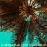 Yoga Piano Chillout