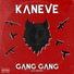 Kaneve feat. Zerarri