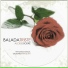 Alcides Sodré feat. Gilson Peranzzetta