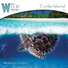 Medwyn Goodall - Turtle Island(2013)