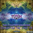 T.C.N, X-Side