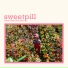Sweet Pill