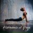 Chakra Healing Music Academy