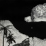 Islet