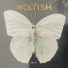 Wolffish