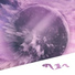 Archefluxx