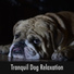 Dog Relaxation Moments