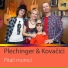 Ivana Plechinger, Kovačići