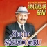 Şekip Şahadoğru