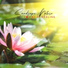 Reiki Music Energy Healing
