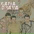 Caña Brava
