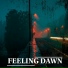 Feeling Dawn