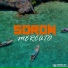 Soron