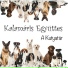 Kalamáris Együttes