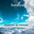 Sondryx