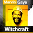 Marvin Gaye & Friends