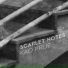 Scarlet Notes