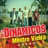 Os Dinâmicos, Mestre Vieira