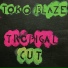 Toko Blaze