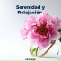 Relaxing Piano Music & Musica Relajante