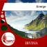 Irvina